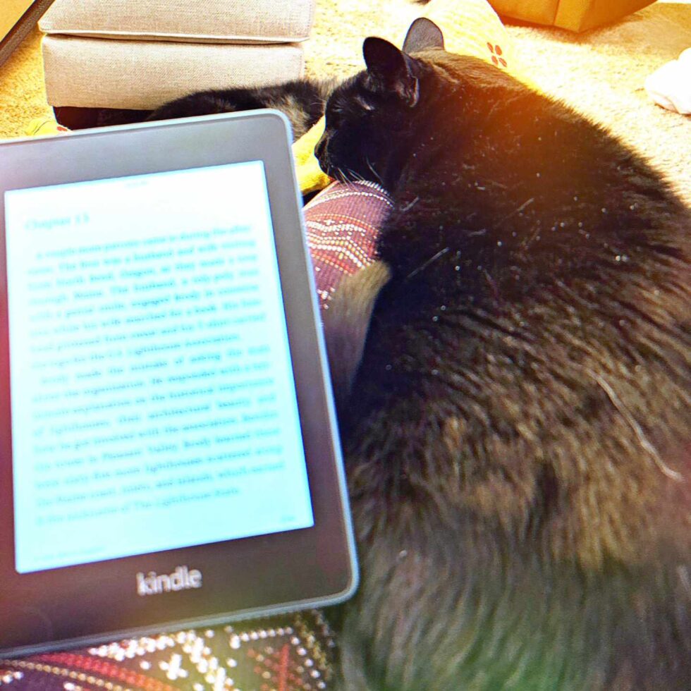 Cat with Kindle image